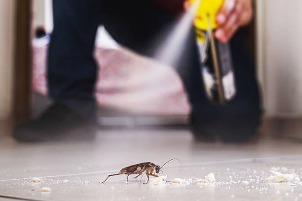 Flea Control Services in Marion, PA