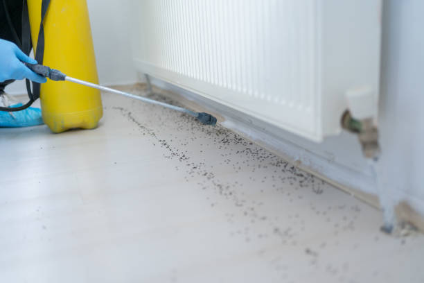 Best Wildlife Control Services  in Marion, PA