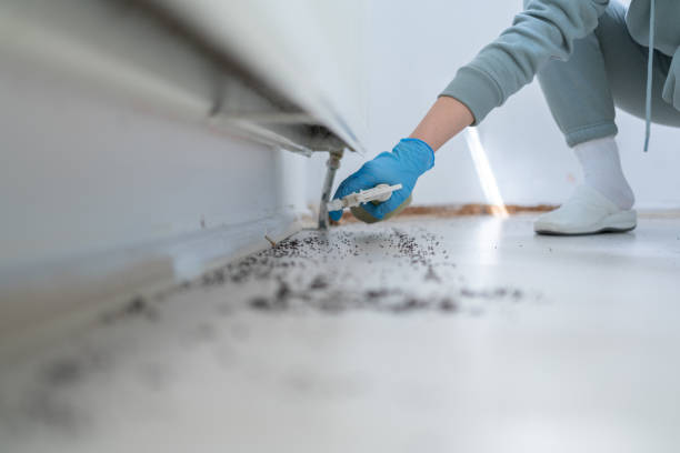 Best Local Pest Control Services  in Marion, PA